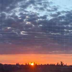 Meet your Posher, Ali